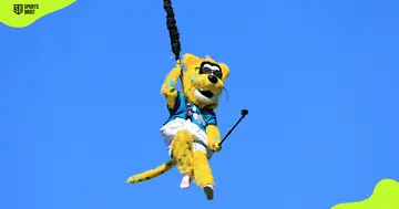Jacksonville Jaguars' mascot, Jaxson de Ville