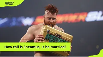 How tall is Sheamus, is he married?