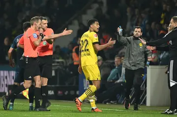 Centre of controversy: German referee Sascha Stegemann (left) during Friday's game