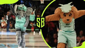 Why is the NY Liberty mascot an elephant?