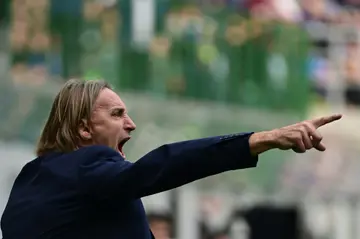 Not enough points: Davide Nicola shouts instructions to his Salernitana team