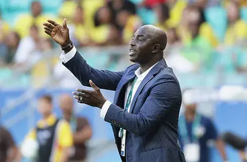 Samson Siasia, Nigeria, Super Eagles, Finidi George, FIFA, World Cup