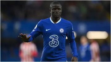 N'Golo Kante looks on during the Premier League match between Chelsea FC and Brentford FC at Stamford Bridge. Photo by Mike Hewitt.
