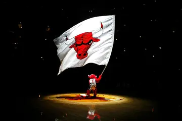Chicago Bulls basketball logo