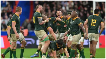 Springboks, South Africa, Rugby World Cup, England