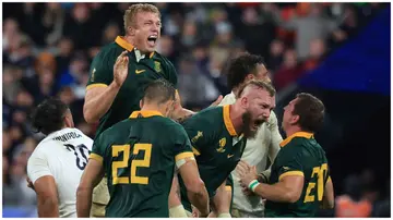 Springboks, South Africa, England, World cup semi. 