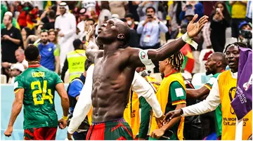 Vincent Aboubakar, Cameroo, World Cup, Qatar 2022, Brazil, winless run