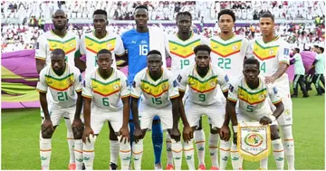 Senegal, World Cup, Ecuador, FIFA