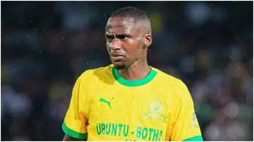 Thembinkosi Lorch, Mamelodi Sundowns, Rulani Mokwena, Ronwen Williams