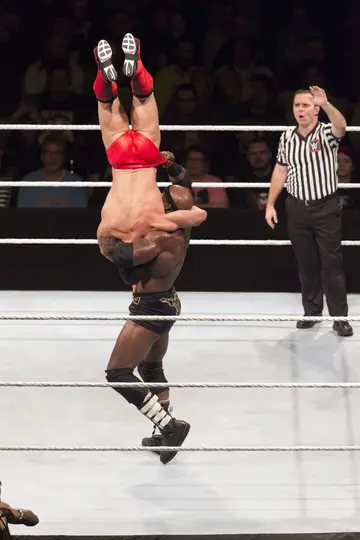 WWE wrestling moves