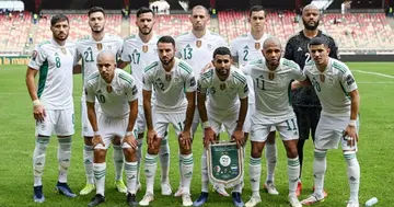 Algeria during the 2021 AFCON in Cameroon. Photo: Getty Images.
