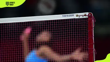 Badminton net