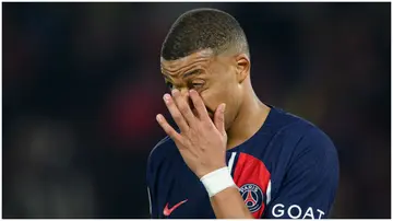 Kylian Mbappe has been snubbed by Paris Saint-Germain boss, Luis Enrique, when naming the Ligue 1 champions' best player of the season.