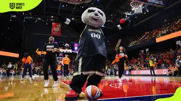 Pax the Panda at Entertainment & Sports Arena