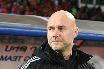 Wales boss Rob Page