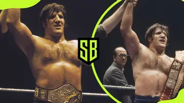 Bruno Sammartino