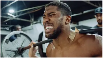 Anthony Joshua, Deontay Wilder, Wheelchair