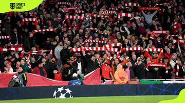 Arsenal fans before the UEFA Champions League match against FC Bayern München at Emirates Stadium on April 09, 2024. 