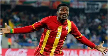 Black Stars 2010 World Cup icon, Asamoah Gyan, is calling on legends to help save Ghana's sports.