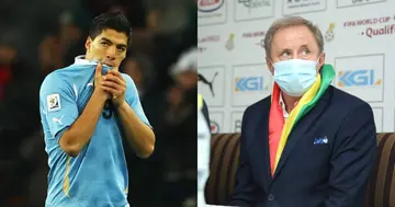 If not for Suarez we would have been World Champions - New Ghana coach Milovan Rajevac