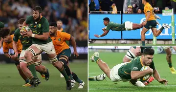 Rugby Championship, South Africa, Bounces Back, Secure, Victory, Australia, Tense, Sydney, Encounter, Sport, Rugby