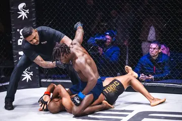 The referee stops Humphrey Mulenga from landing more blows.