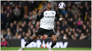 Tosin Adarabioyo in action for Fulham in a past match. Photo: Alex Davidson.
