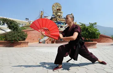 Where did kung fu originate from?