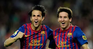 Cesc Fàbregas, Shares, Amazing Story, Meeting, Lionel Messi, First Time, Training, Sport, World, Soccer, Barcelona