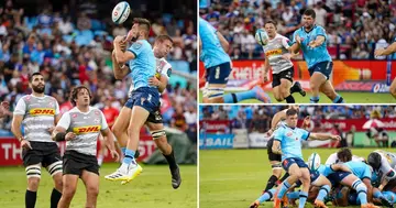 Jake White, Remains Optimistic, Vodacom Bulls, Chances, Narrow Defeat, Stormers, World, Rugby, United Rugby Championship