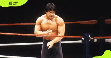 What happened to Ricky Steamboat?