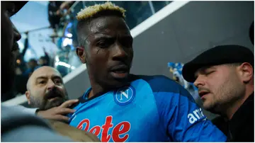 Victor Osimhen, Napoli, Udinese, Udine, Serie A.