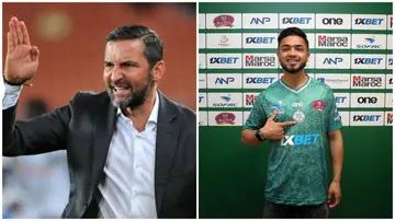 Josef Zinnbauer, Haashim Domingo, Raja Casablanca, Mamelodi Sundowns, Morocco, Botola.