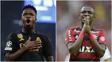 Vinicius Junior, Real Madrid, Flamengo, Brazil, La Liga, Champions League