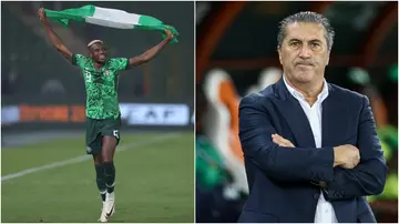 Michael Nsien, Nigeria, Jose Peseiro, Victor Osimhen, 2026 World Cup, AFCON, Ivory Coast