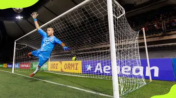 Goalkeeper blocks a shot during an international soccer match