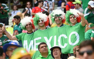 Mexican supporters cheer for their team during the 2014 World Cup in Brazil