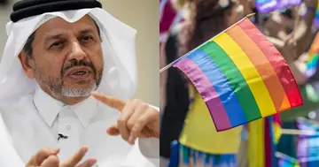 Major General Abdulaziz Abdullah Al Ansari, Qatar, LGBTQ, 2022 World Cup