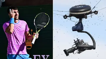 Carlos Alcaraz, BNP Paribas Open, Alexander Zverev, Novak Djokovic, ATP, Indian Wells, Bees