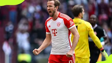Harry Kane celebrates a goal in Bundesliga