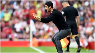 Mikel Arteta reacts during the Premier League match between Arsenal FC and Brighton at Emirates Stadium. Photo by Stuart MacFarlane.