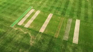 How does a cricket pitch look like?