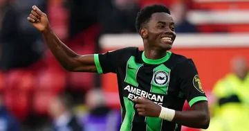 Simon Adingra has followed up on his success at AFCON with two goals for Brighton & Hove Albion.