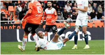 Andre Ayew, Ghana, Ligue 1, France, Goal of the Season, Le Havre