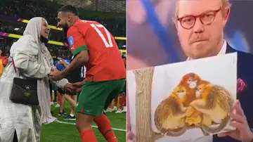morocco, christian høgh andersen, 2022 fifa world cup, racism, monkeys, tv danmark 2, al jazeera