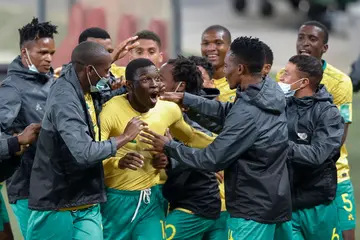 south africa, hugo broos, guinea, france, belgium, lille, international friendly, les bleus