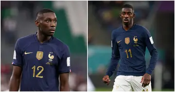 Randal Kolo Muani, Ousmane Dembele, France, World Cup, Qatar, cats