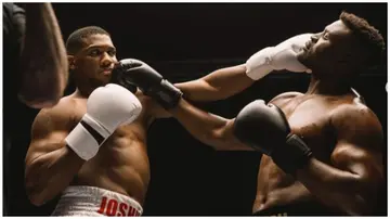 Anthony Joshua, AJ, Francis Ngannou, Saudi Arabia, heavyweight, boxing.