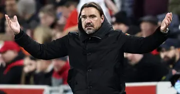 Daniel Farke, Manager of Norwich City reacts during the Premier League match between Brentford and Norwich City at Brentford Community Stadium on November 06, 2021 in Brentford, England. (Photo by Marc Atkins/Getty Images)