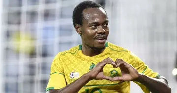 Percy Tau, World, South Africa, CAF Champions League, South Africa, Al Ahly, Sport, Wydad Casablanca, Morocco, AFCON